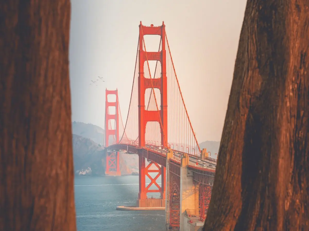 Le Golden Gate Bridge de San Francisco au coucher du soleil, encadré par des arbres